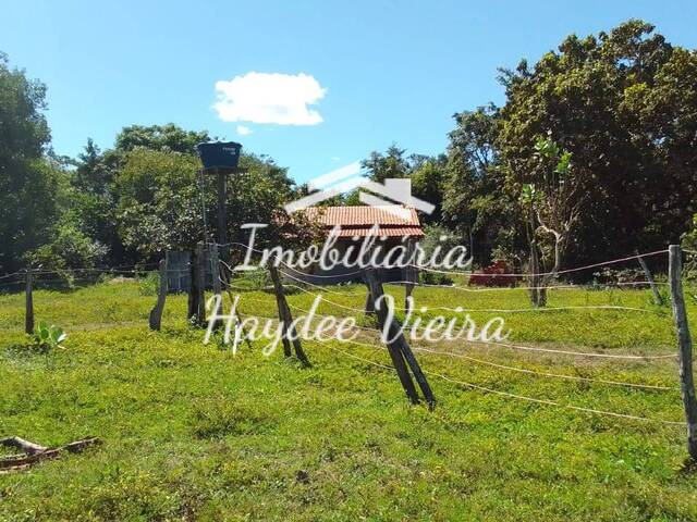 Fazenda para Venda em Paraíso do Tocantins - 4